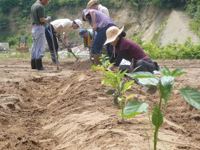 mamejin20080608_03.jpg