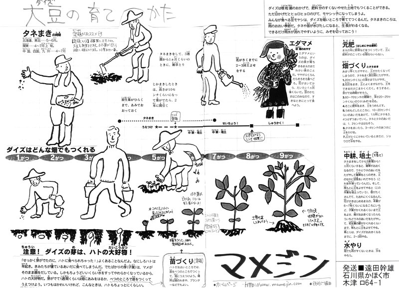 大豆の育て方 大豆の作り方 大豆栽培 マメジン