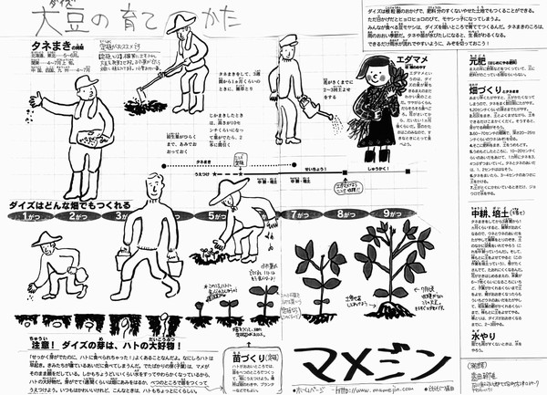 大豆の育て方/大豆の作り方/大豆栽培