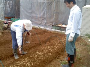 金沢大地さんで購入した豆を蒔く