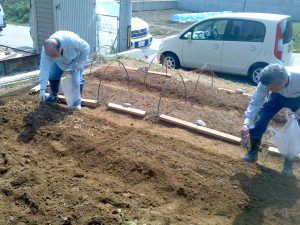 念のため、昨年の青大豆と遠田家で収穫したらしいマメジンオリジナル大豆を蒔きました。