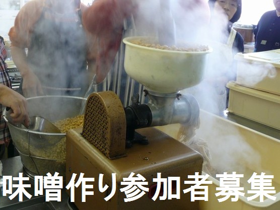 マメジンは味噌作りの参加者を10名募集します（2015年2月）