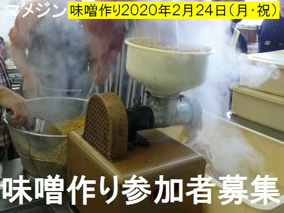 マメジンの味噌作り参加者募集！