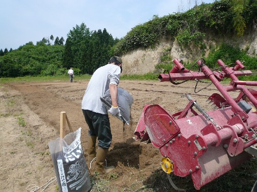 マメジンの畑は金沢市堀切町（2008年も昨年に引き続き同じ畑）