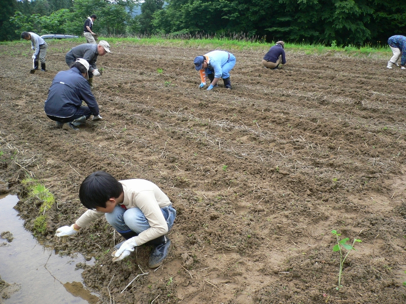 mamejin20060611.jpg